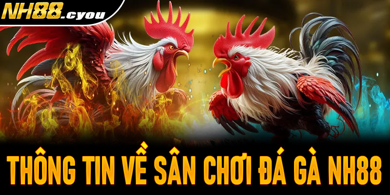 Tổng quan thông tin về sân chơi đá gà NH88