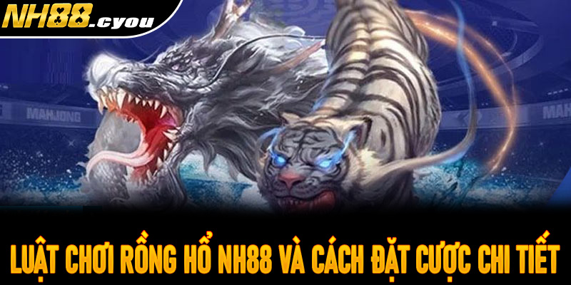 Luật chơi Rồng Hổ NH88 và cách đặt cược chi tiết