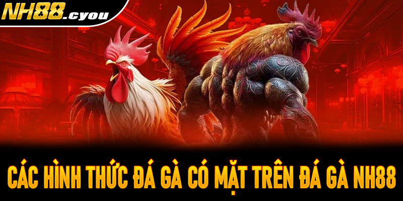 Tổng hợp các hình thức đá gà có mặt trên đá gà NH88