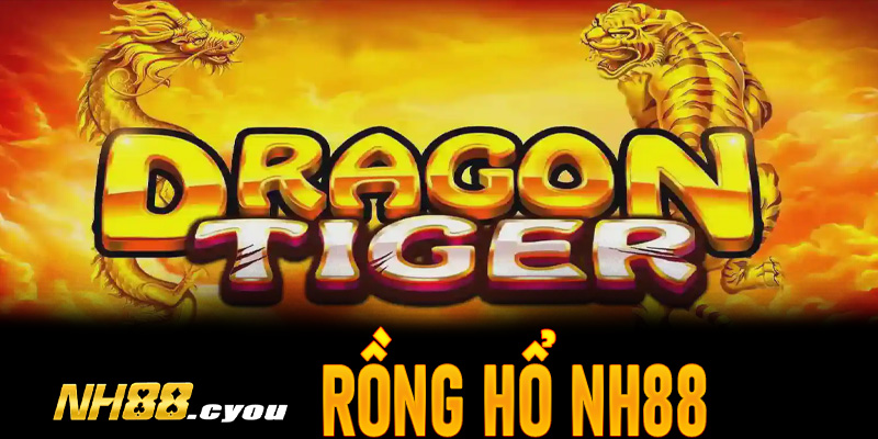 Sân chơi giải trí rồng hổ NH88 uy tín và minh bạch